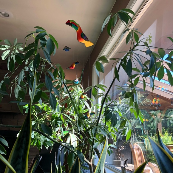 Meet your Posher, isis - Picture 3 of 5